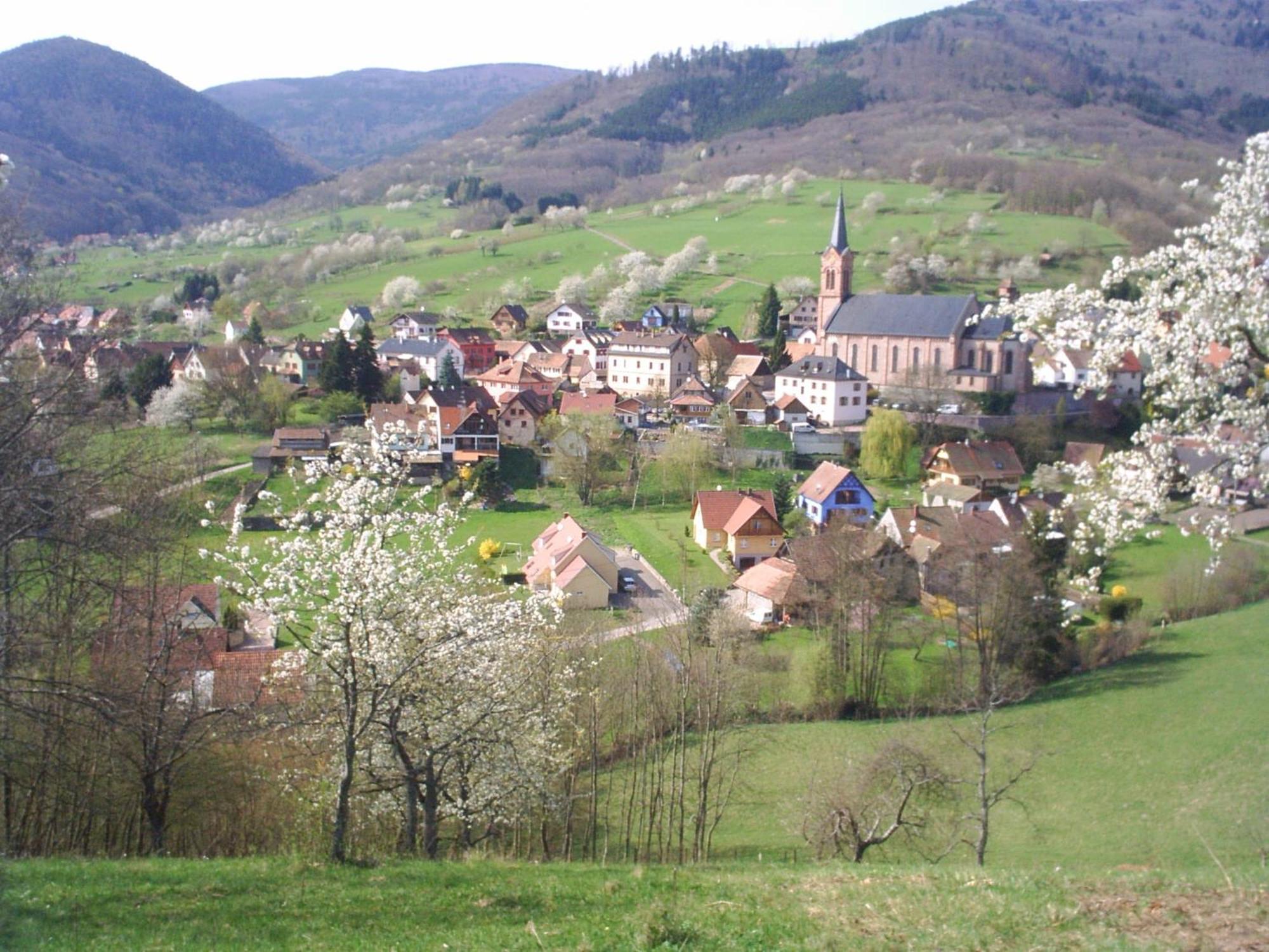 Gite Bellevue Breitenbach Exterior photo
