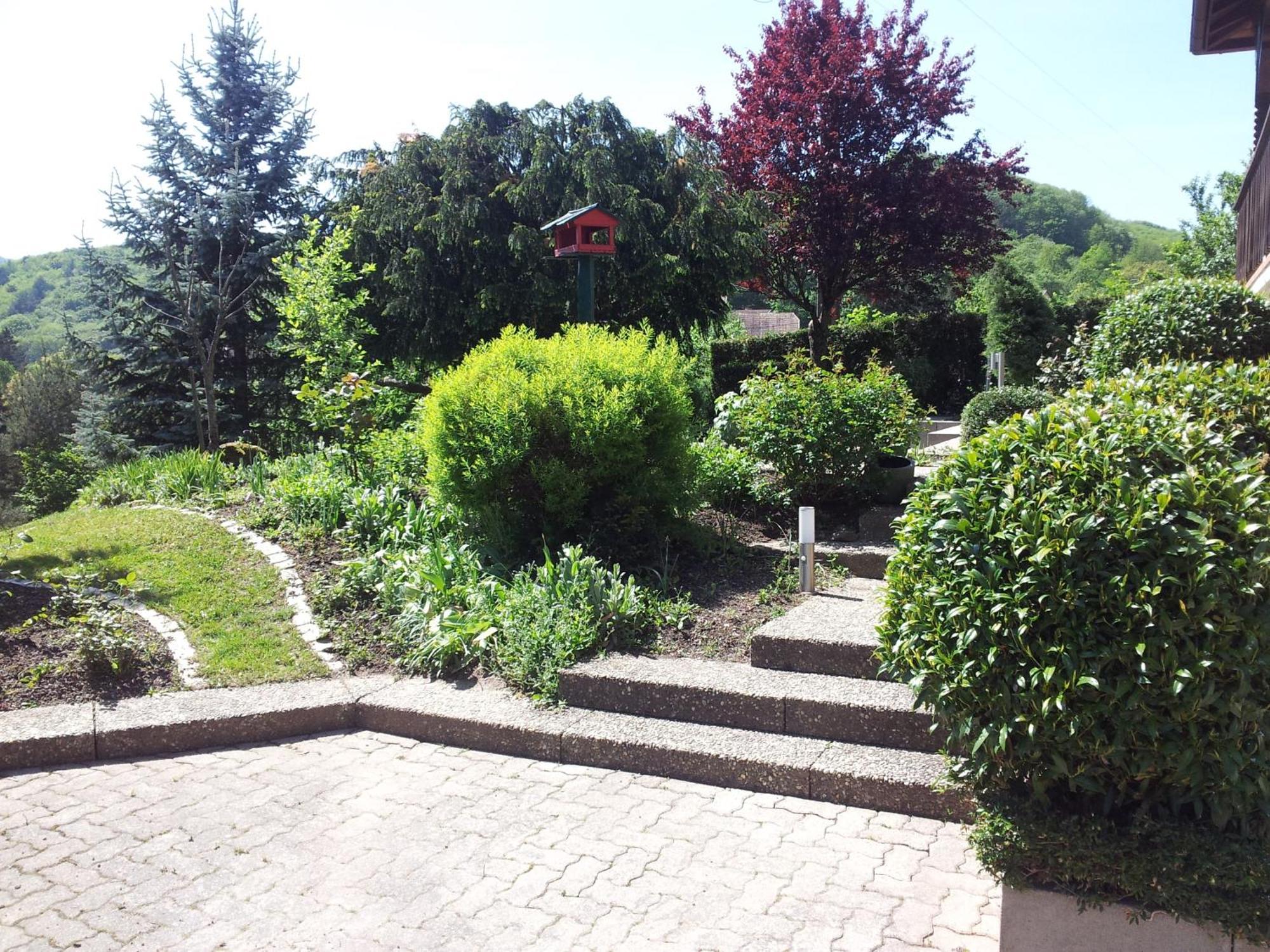 Gite Bellevue Breitenbach Exterior photo
