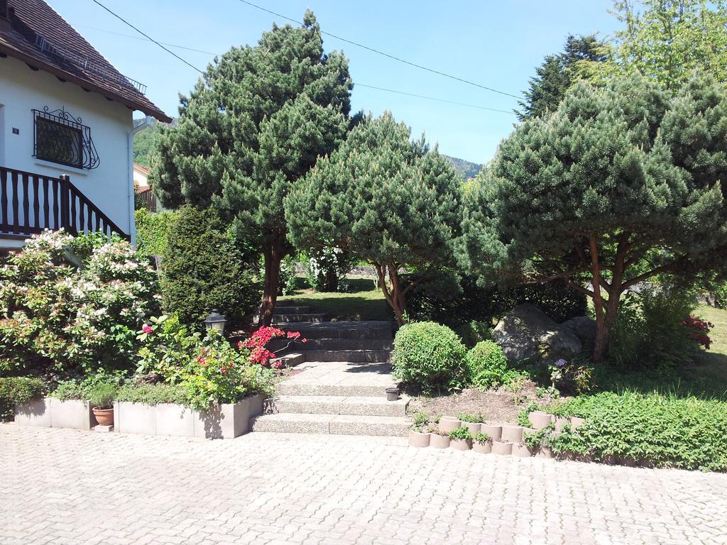Gite Bellevue Breitenbach Exterior photo